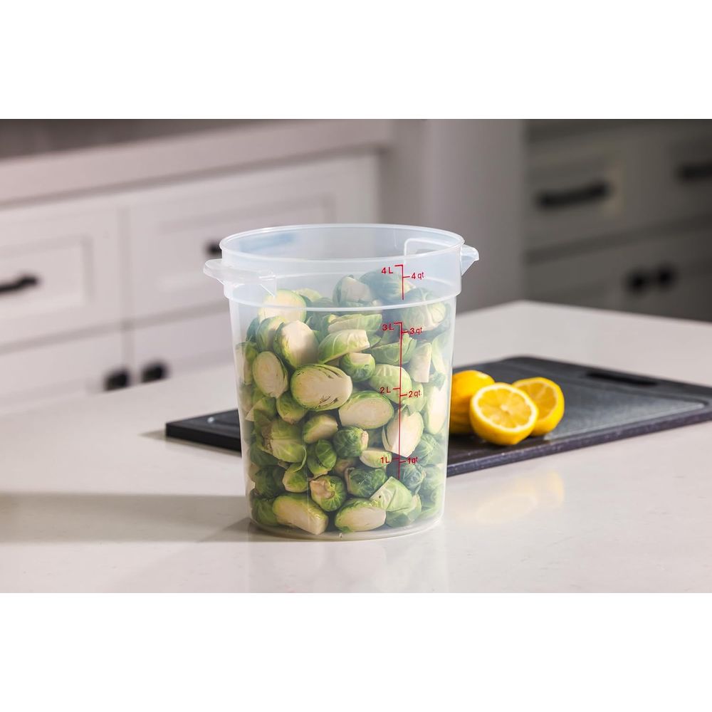 4쿼트 BPA 프리 식품 보관 용기(뚜껑 포함) - 베 - Food Storage 4 Quart 리뷰 및 가격